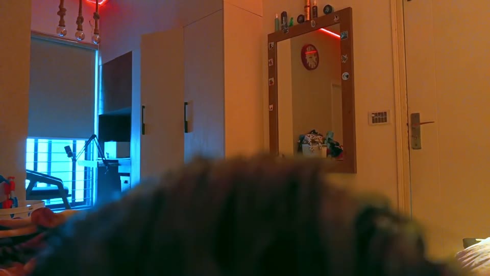 Bedroom — red/blue LED wash